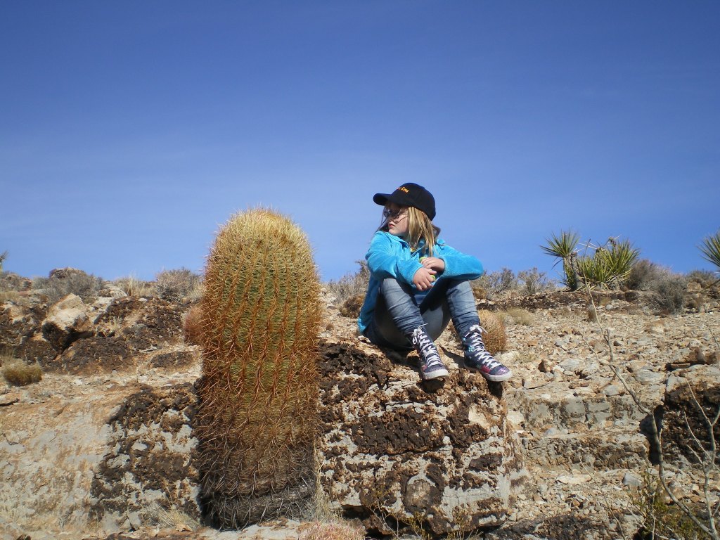 Las Vegas Jan 2010 073